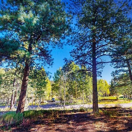 Pinon Pines Villa South Fork Kültér fotó